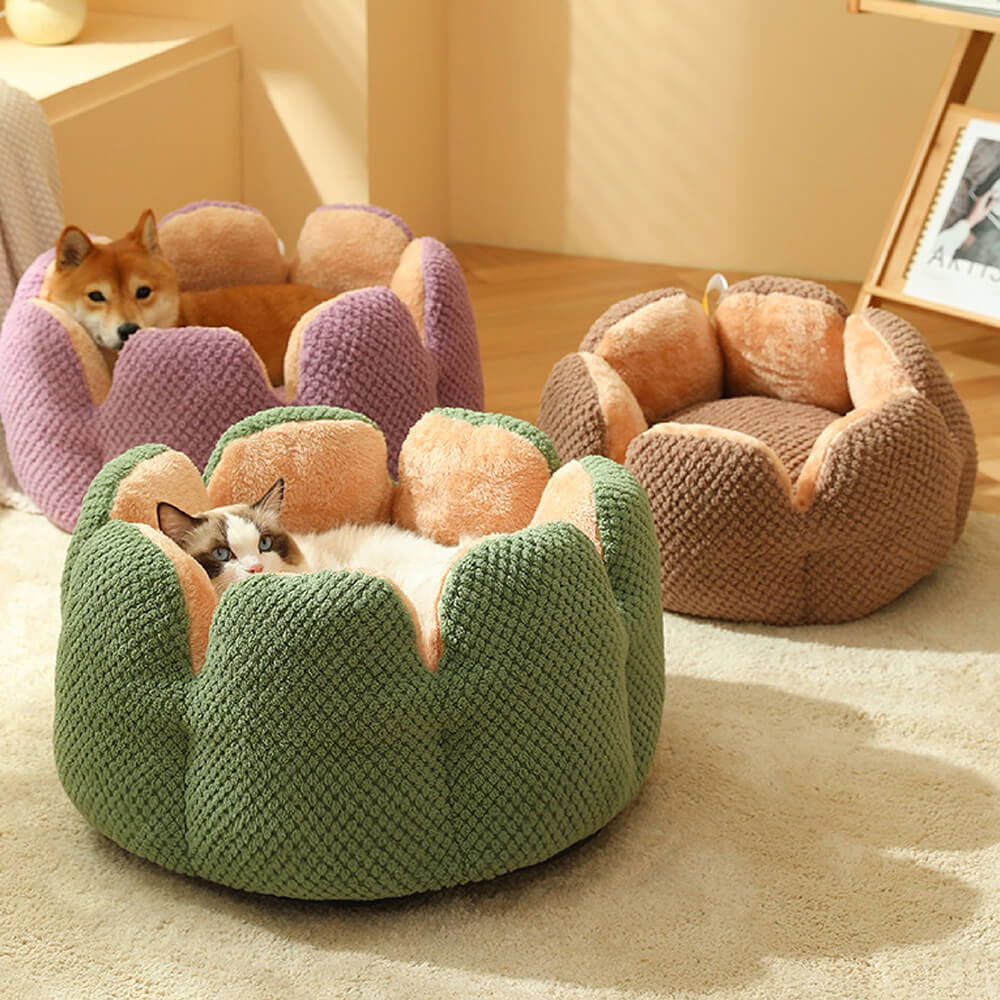 Superidag Comfortable Pet Bed from Cactus Shape