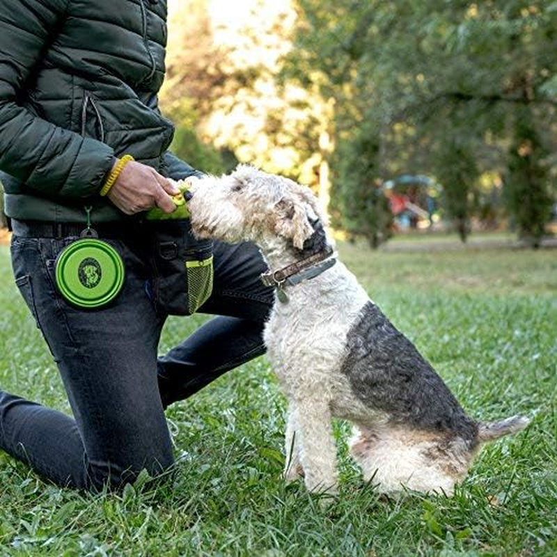 Dog Treat Bag, Training Pouch for Small and Large Dogs with Clicker and Collapsible Food Bowl BPA Free – Pet Treats Tote Bag with Waist and Shoulder Reflective Straps and Belt Clip